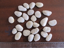 White Pebble stone